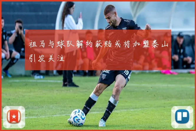 祖马与球队解约获赔或将加盟泰山引发关注